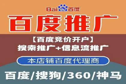 某品牌的信息流广告投放策略及效果展示